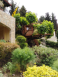 Bild - Großzügiges Einfamilienhaus mit Panoramablick auf den Berg Pageo – Zigos, Kavala