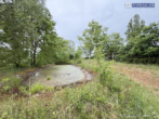 Teich - Idyllisches Grundstück in Alleinlage mit zusätzlichem Bauplatz und PV-Anlage